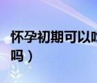 懷孕初期可以吃阿膠嗎（懷孕初期可以吃荔枝嗎）