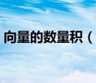 向量的數(shù)量積（說一說向量的數(shù)量積的簡介）