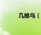 幾維鳥（說一說幾維鳥的簡介）