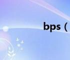 bps（說一說bps的簡介）