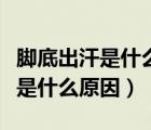 腳底出汗是什么原因男是濕氣太重（腳底出汗是什么原因）
