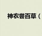 神農(nóng)嘗百草（說一說神農(nóng)嘗百草的簡介）