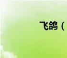 飛鴿（說一說飛鴿的簡(jiǎn)介）