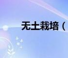 無土栽培（說一說無土栽培的簡介）