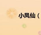小鳳仙（說一說小鳳仙的簡介）
