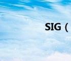 SIG（說(shuō)一說(shuō)SIG的簡(jiǎn)介）