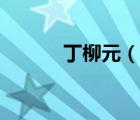 丁柳元（說(shuō)一說(shuō)丁柳元的簡(jiǎn)介）