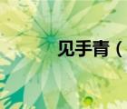 見手青（說一說見手青的簡介）