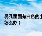 鼻孔里面有白色的小包應(yīng)該怎怎么辦（鼻孔里面長(zhǎng)白色膿包怎么辦）