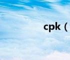 cpk（說一說cpk的簡介）