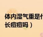 體內(nèi)濕氣重是什么原因引起的（體內(nèi)濕氣重會長痘痘嗎）