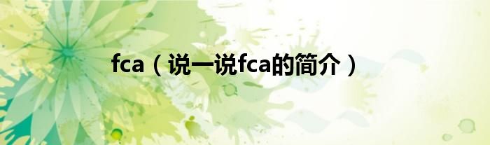 fca（說一說fca的簡介）