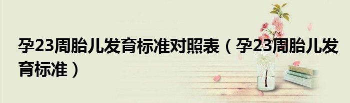 孕23周胎兒發(fā)育標準對照表（孕23周胎兒發(fā)育標準）