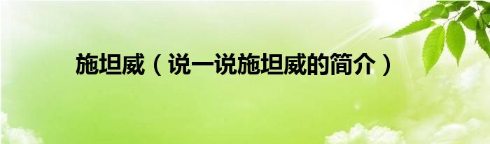 施坦威（說一說施坦威的簡介）