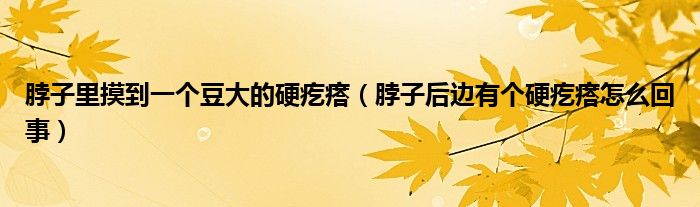 脖子里摸到一個豆大的硬疙瘩（脖子后邊有個硬疙瘩怎么回事）