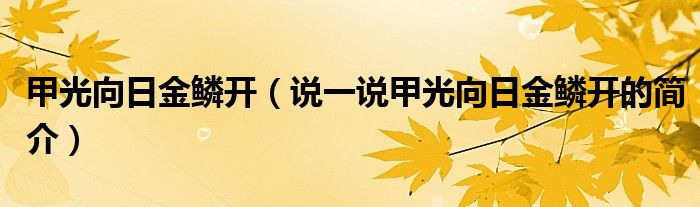 甲光向日金鱗開（說一說甲光向日金鱗開的簡介）