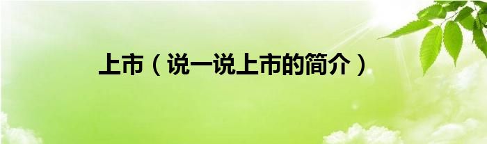 上市（說一說上市的簡介）