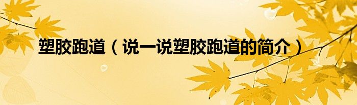 塑膠跑道（說一說塑膠跑道的簡(jiǎn)介）