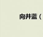 向井藍(lán)（說一說向井藍(lán)的簡介）