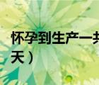 懷孕到生產(chǎn)一共多少天（從懷孕到生產(chǎn)要多少天）