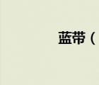 藍(lán)帶（說(shuō)一說(shuō)藍(lán)帶的簡(jiǎn)介）