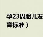 孕23周胎兒發(fā)育標(biāo)準(zhǔn)對(duì)照表（孕23周胎兒發(fā)育標(biāo)準(zhǔn)）
