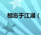 相忘于江湖（說一說相忘于江湖的簡介）