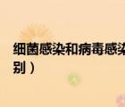 細(xì)菌感染和病毒感染的區(qū)別兒童（細(xì)菌感染和病毒感染的區(qū)別）