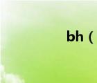 bh（說一說bh的簡(jiǎn)介）