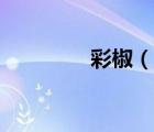 彩椒（說(shuō)一說(shuō)彩椒的簡(jiǎn)介）