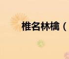 椎名林檎（說(shuō)一說(shuō)椎名林檎的簡(jiǎn)介）