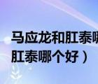 馬應(yīng)龍和肛泰哪個好可以自己買嗎（馬應(yīng)龍和肛泰哪個好）