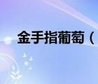 金手指葡萄（說一說金手指葡萄的簡介）