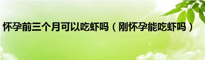 懷孕前三個月可以吃蝦嗎（剛懷孕能吃蝦嗎）