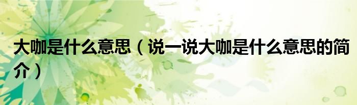 大咖是什么意思（說一說大咖是什么意思的簡(jiǎn)介）