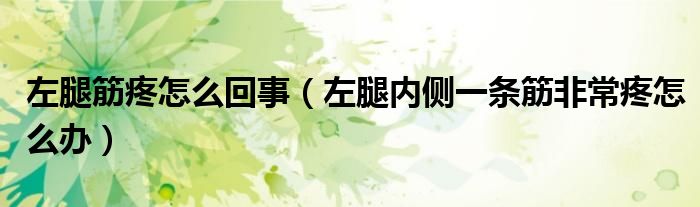 左腿筋疼怎么回事（左腿內(nèi)側(cè)一條筋非常疼怎么辦）