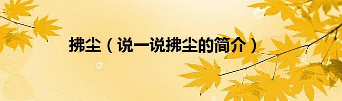 拂塵（說一說拂塵的簡介）