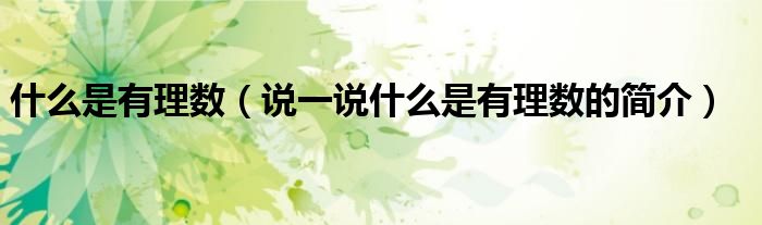 什么是有理數(shù)（說一說什么是有理數(shù)的簡介）