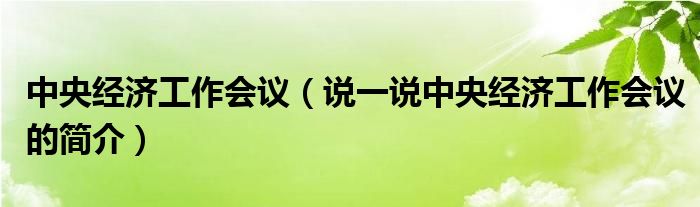 中央經濟工作會議（說一說中央經濟工作會議的簡介）