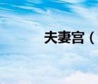 夫妻宮（說一說夫妻宮的簡介）