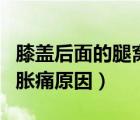 膝蓋后面的腿窩疼是什么原因（膝蓋后面腿窩脹痛原因）