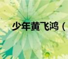 少年黃飛鴻（說(shuō)一說(shuō)少年黃飛鴻的簡(jiǎn)介）