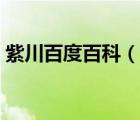 紫川百度百科（說(shuō)一說(shuō)紫川百度百科的簡(jiǎn)介）