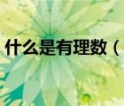 什么是有理數(shù)（說一說什么是有理數(shù)的簡介）
