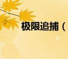 極限追捕（說一說極限追捕的簡介）