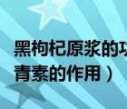 黑枸杞原漿的功效與作用適合人群（黑枸杞花青素的作用）