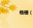 格柵（說一說格柵的簡介）