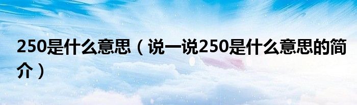 250是什么意思（說一說250是什么意思的簡介）