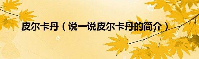 皮爾卡丹（說一說皮爾卡丹的簡介）