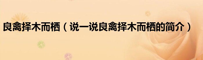 良禽擇木而棲（說一說良禽擇木而棲的簡介）